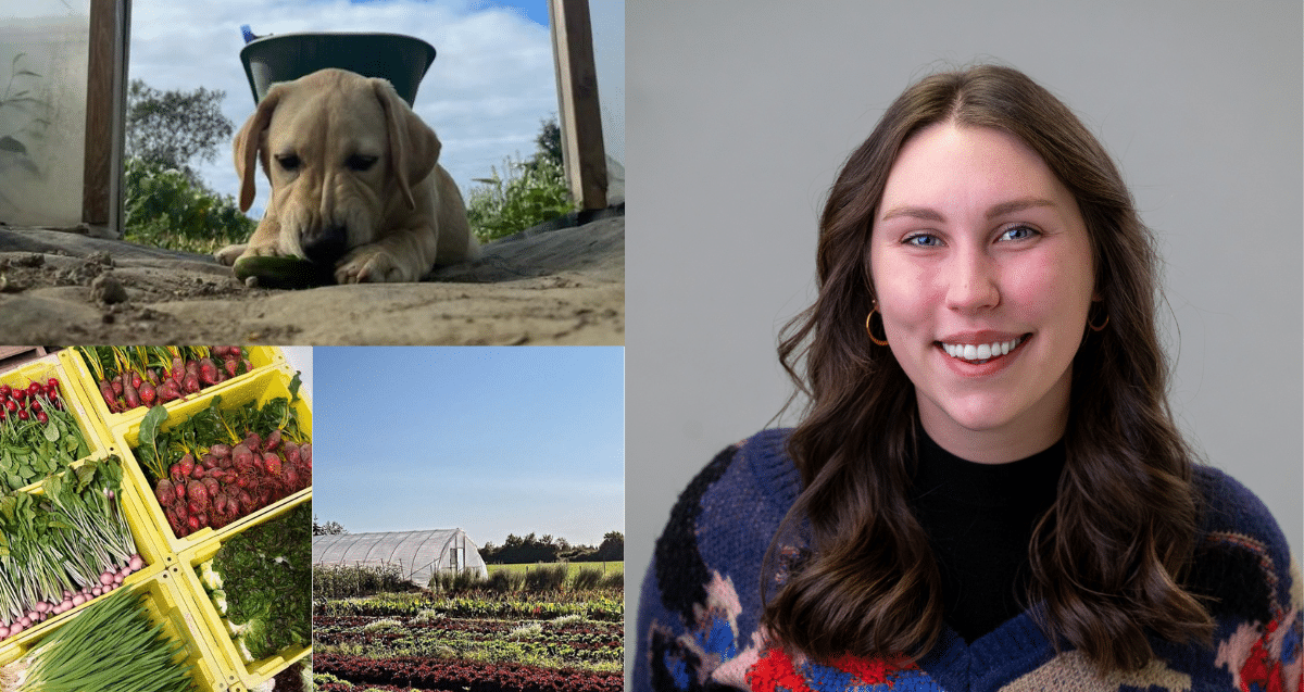 A collage of four images: Olivia Reshetylo, a smiling Farmer, a puppy playing with a vegetable on the ground, crates filled with various fresh vegetables, and a scenic view of a farm with rows of crops and a white greenhouse.